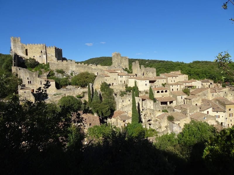 Illustration de l’annonce LICENCE 4 SAINT REMEZE ARDECHE